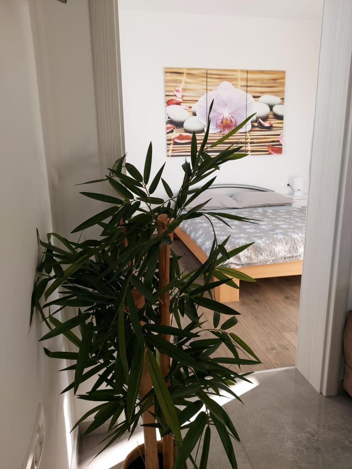 Holiday Apartment Marino ポルトローシュ エクステリア 写真